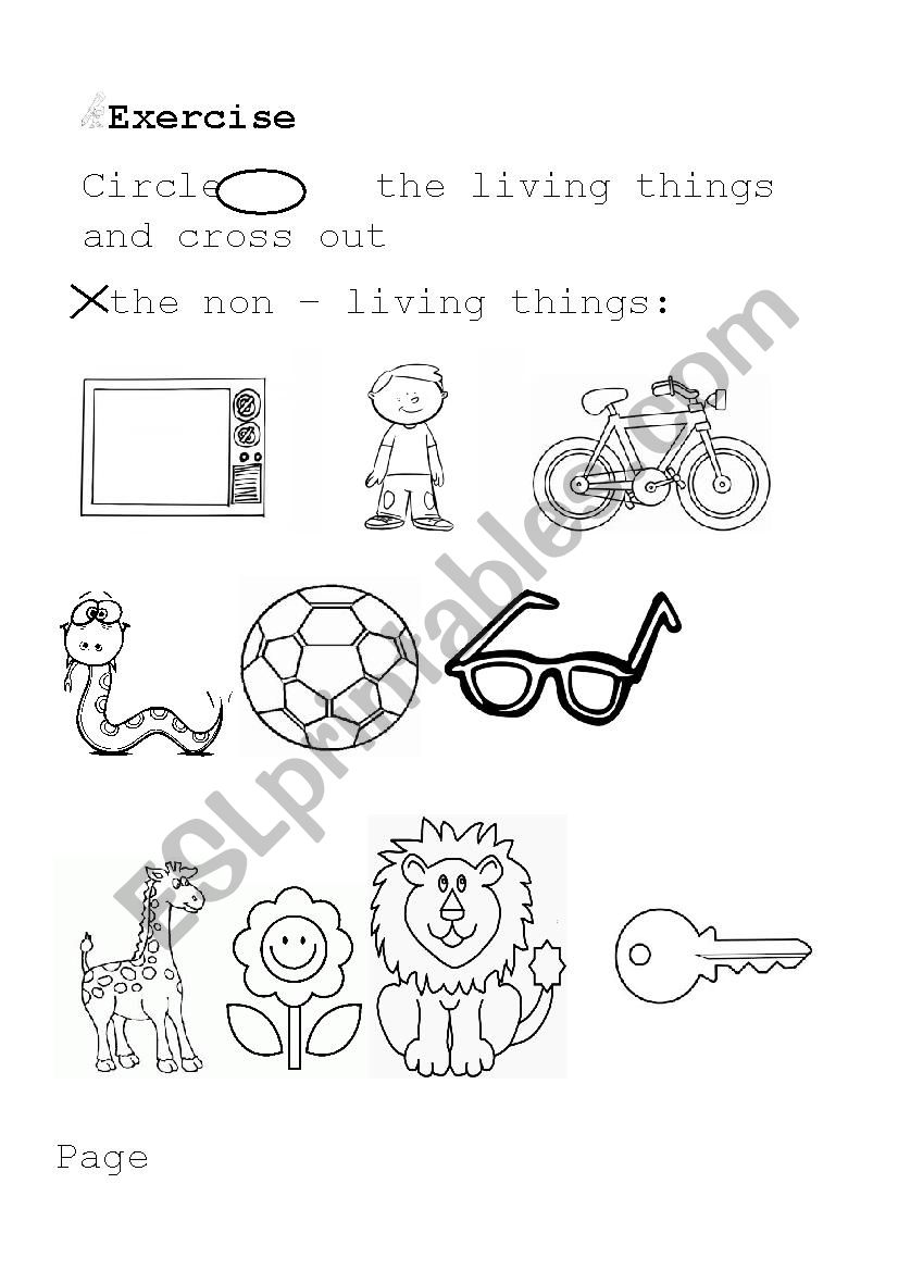 LIVING THINGS worksheet