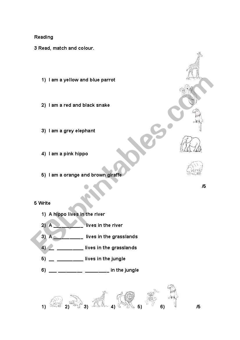 Animals Test worksheet