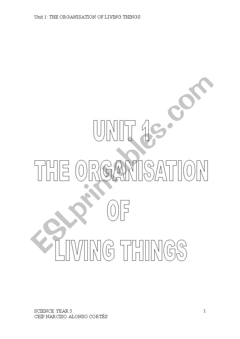 organization of living thing worksheet