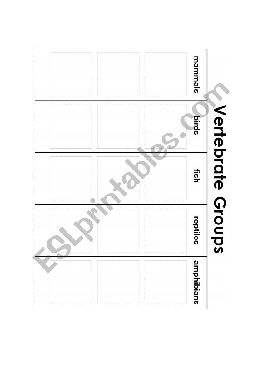 Vertebrates worksheet