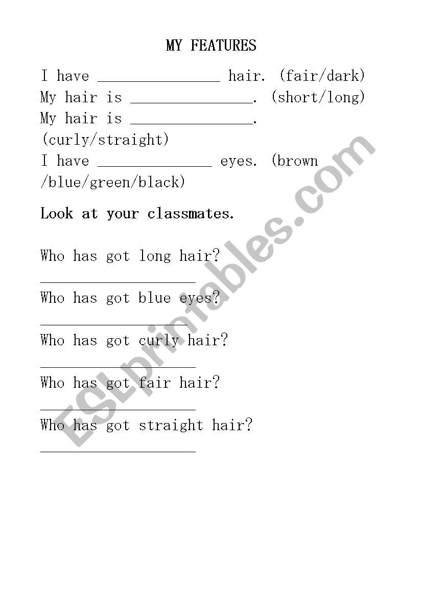 My features worksheet