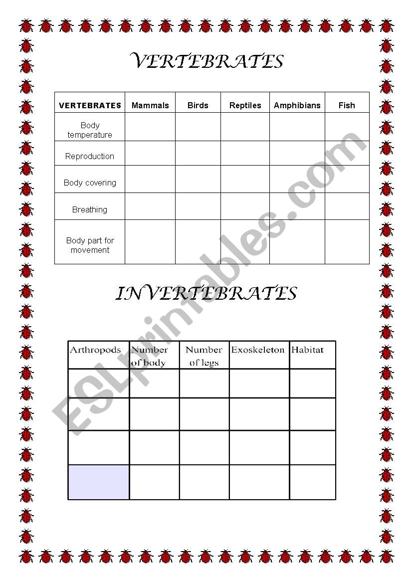 CLASSIFICATION OF ANIMALS worksheet