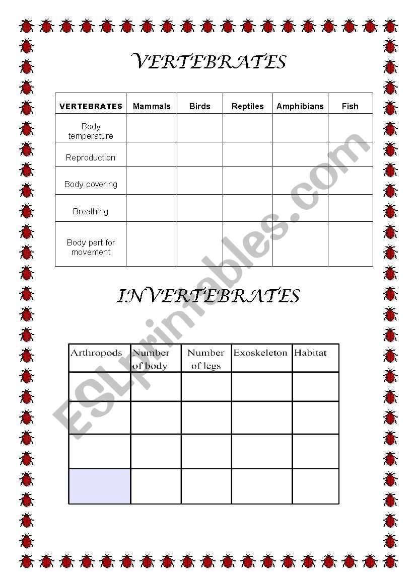 CLASSIFICATION OF ANIMALS worksheet