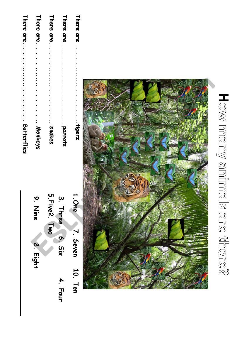 animals and numbers worksheet