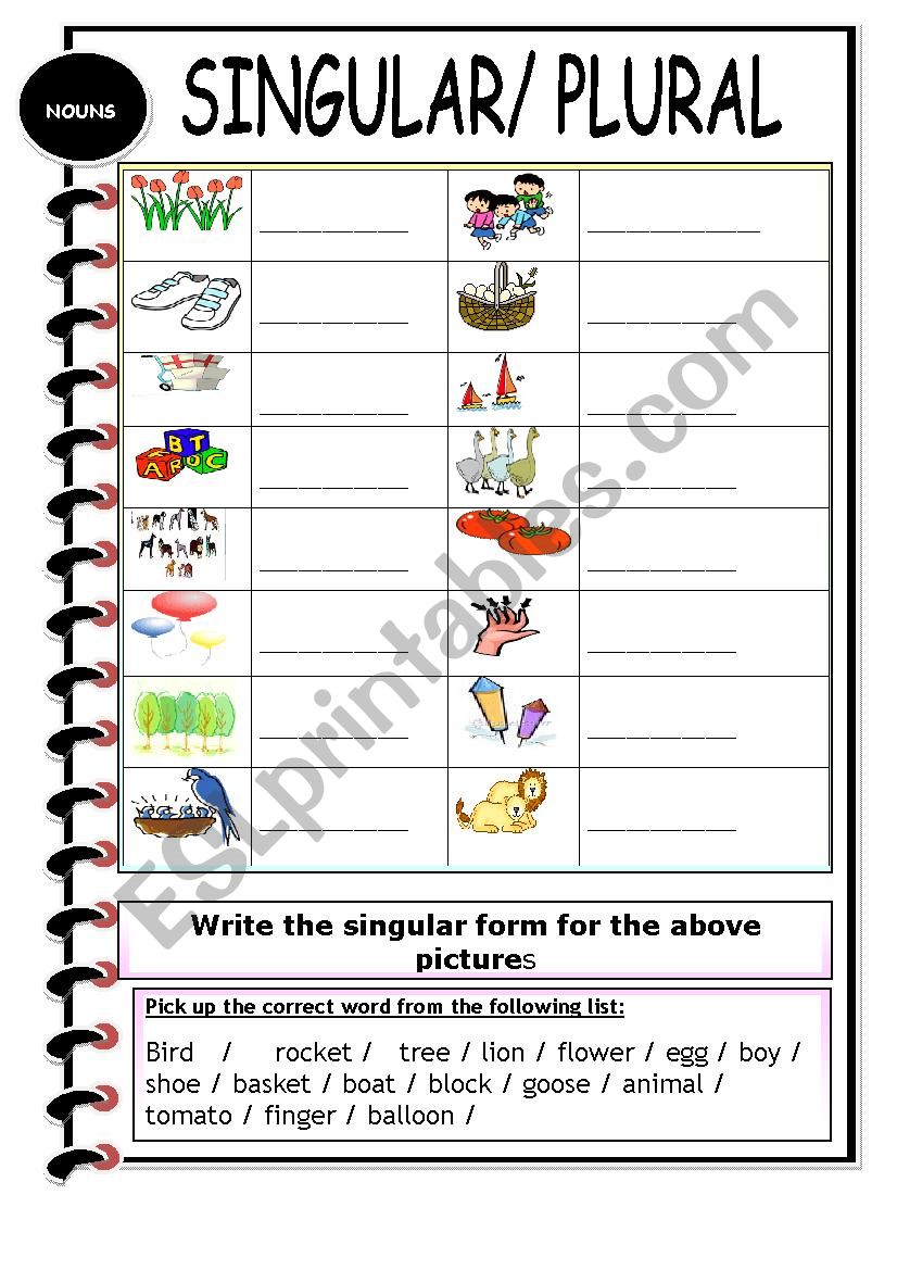 Singular / Plural worksheet