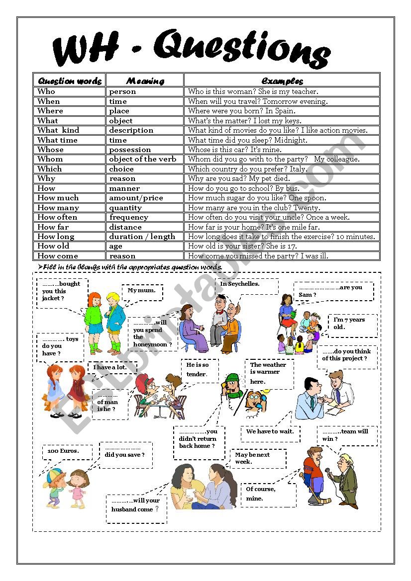 wh questions worksheet