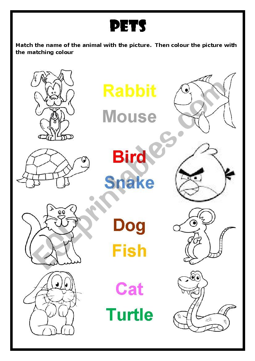 Pets worksheet