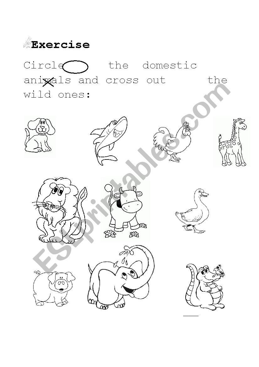 domestic animals worksheet