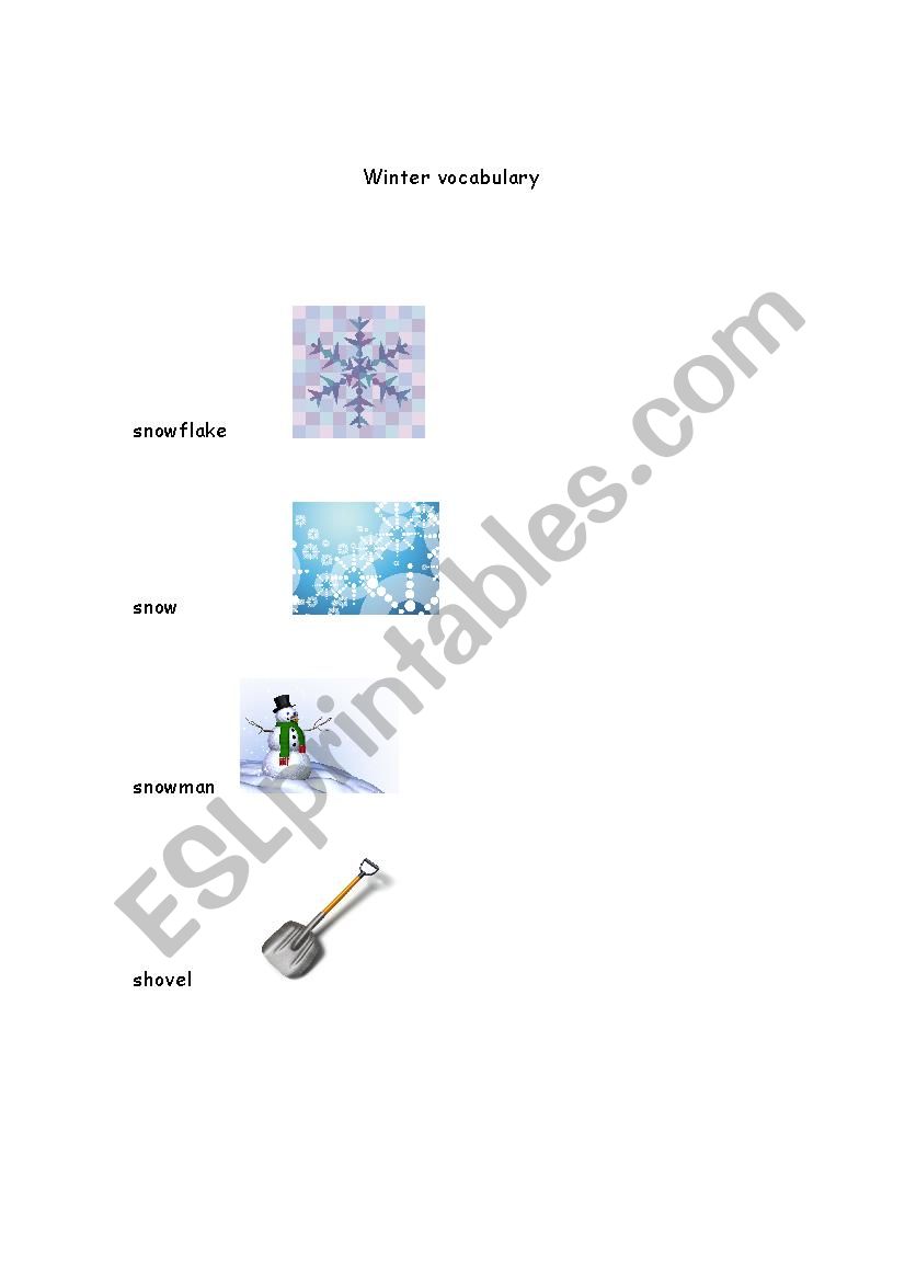 Winter vocabulary  worksheet