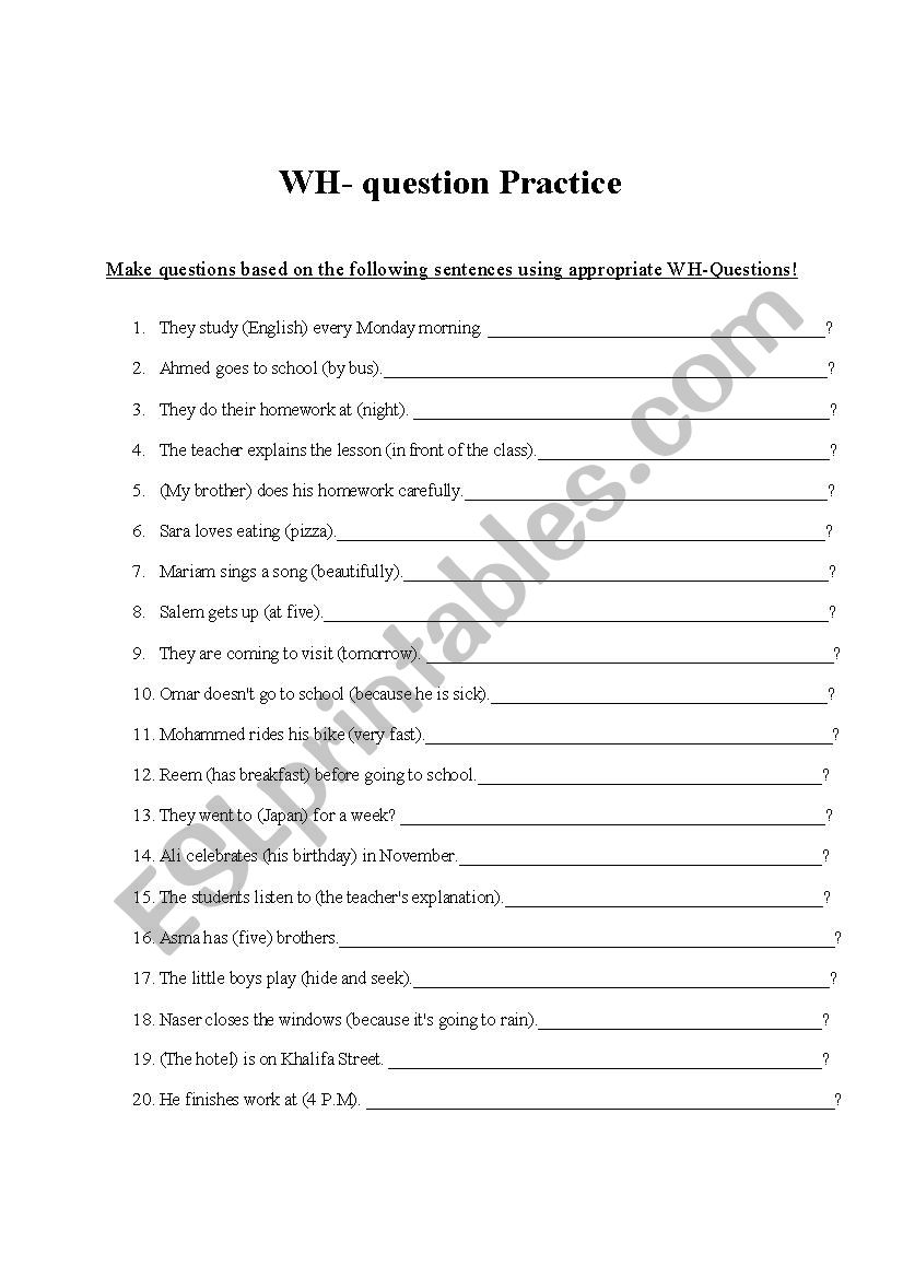 WH- Questions worksheet