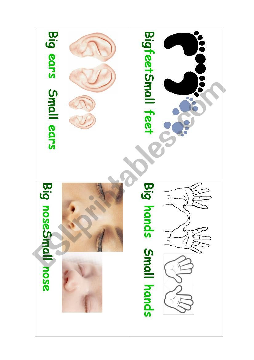 Opposites worksheet