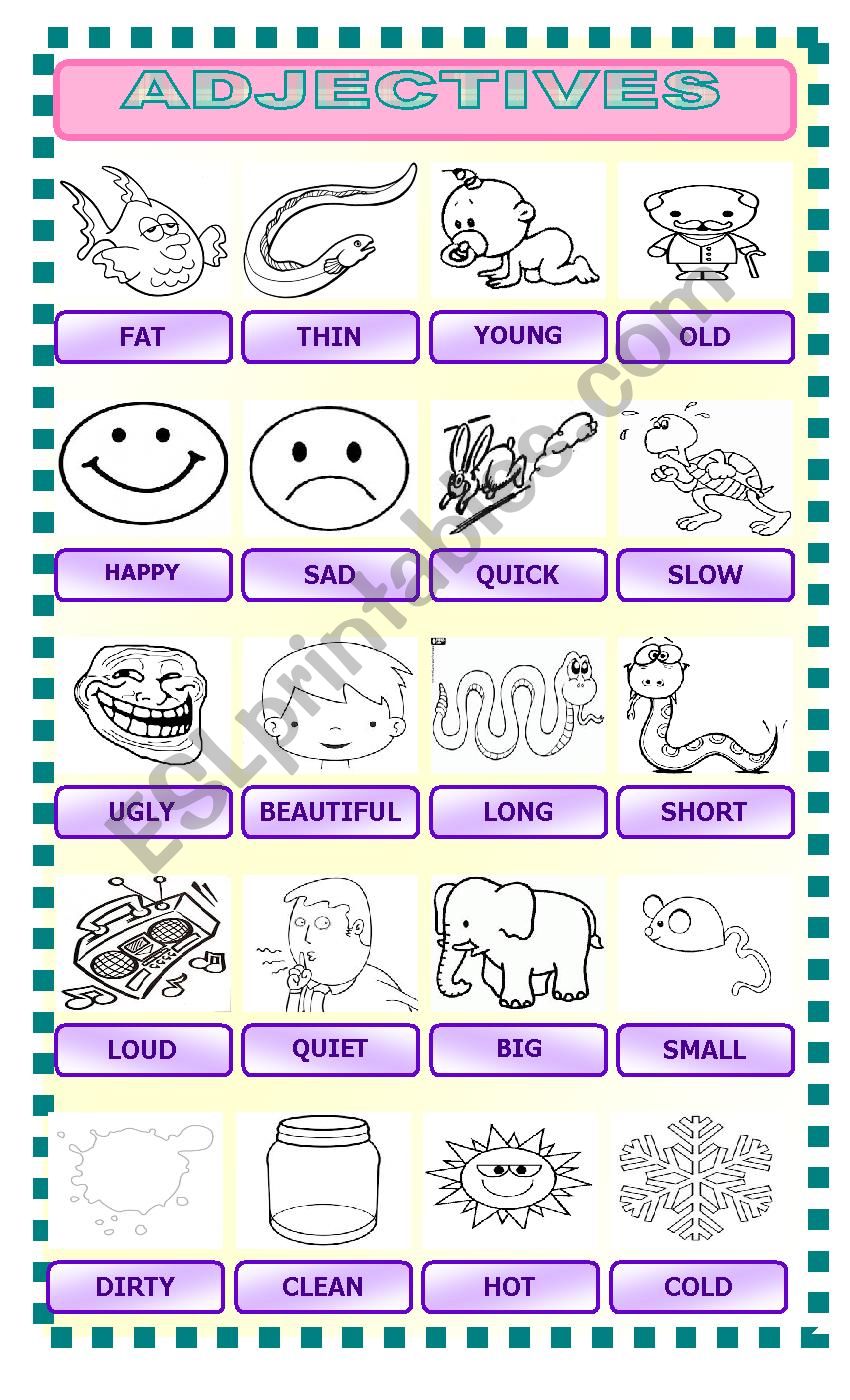 adjectives and opposites worksheet