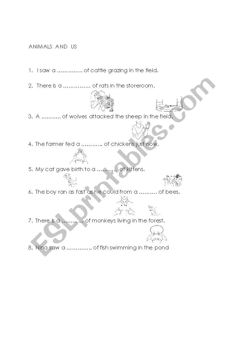 Animals and Us worksheet