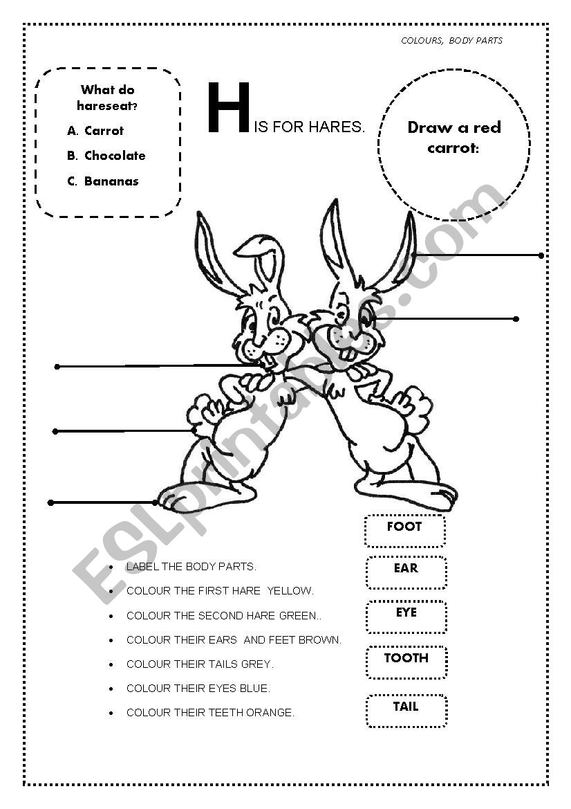 Body parts worksheet