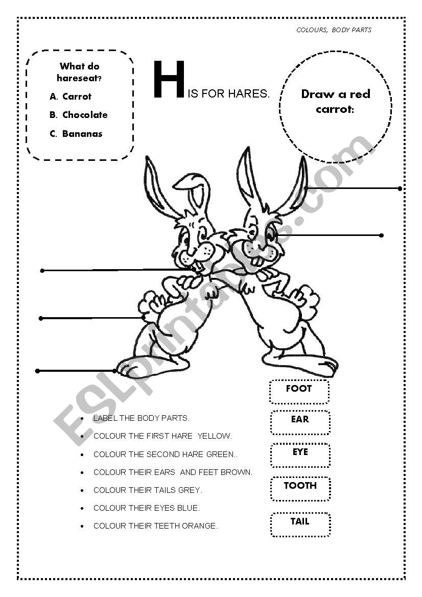 Body parts worksheet