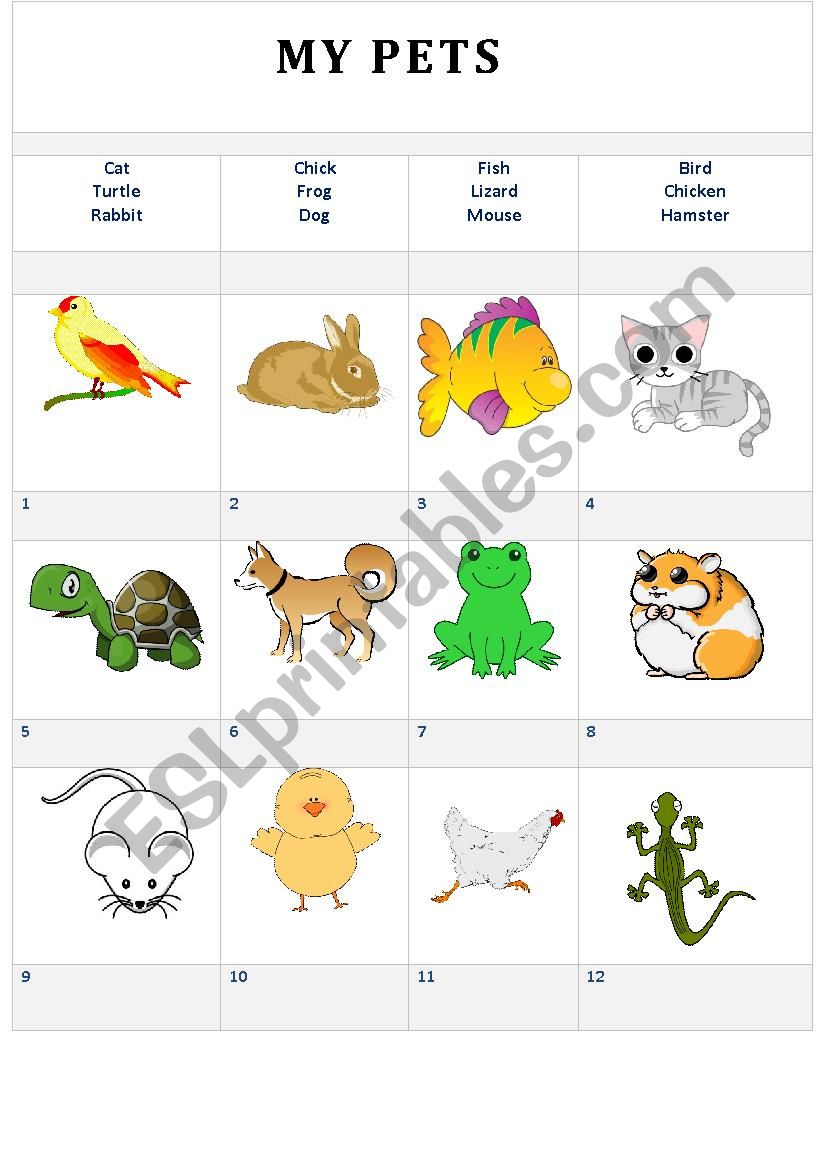 My pets worksheet