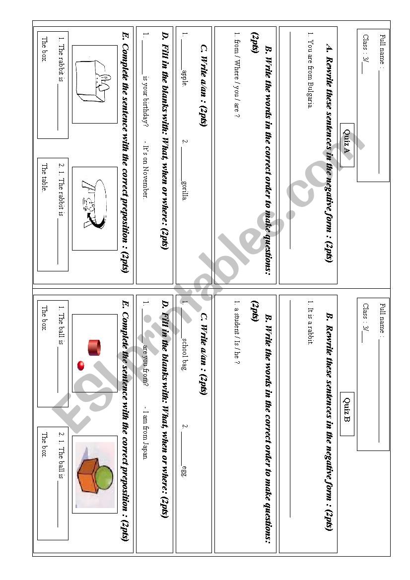 Grammar quiz  worksheet