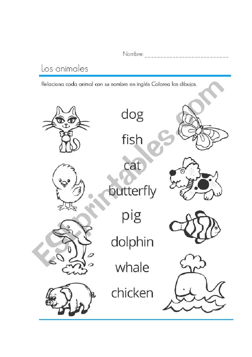 The Animals worksheet