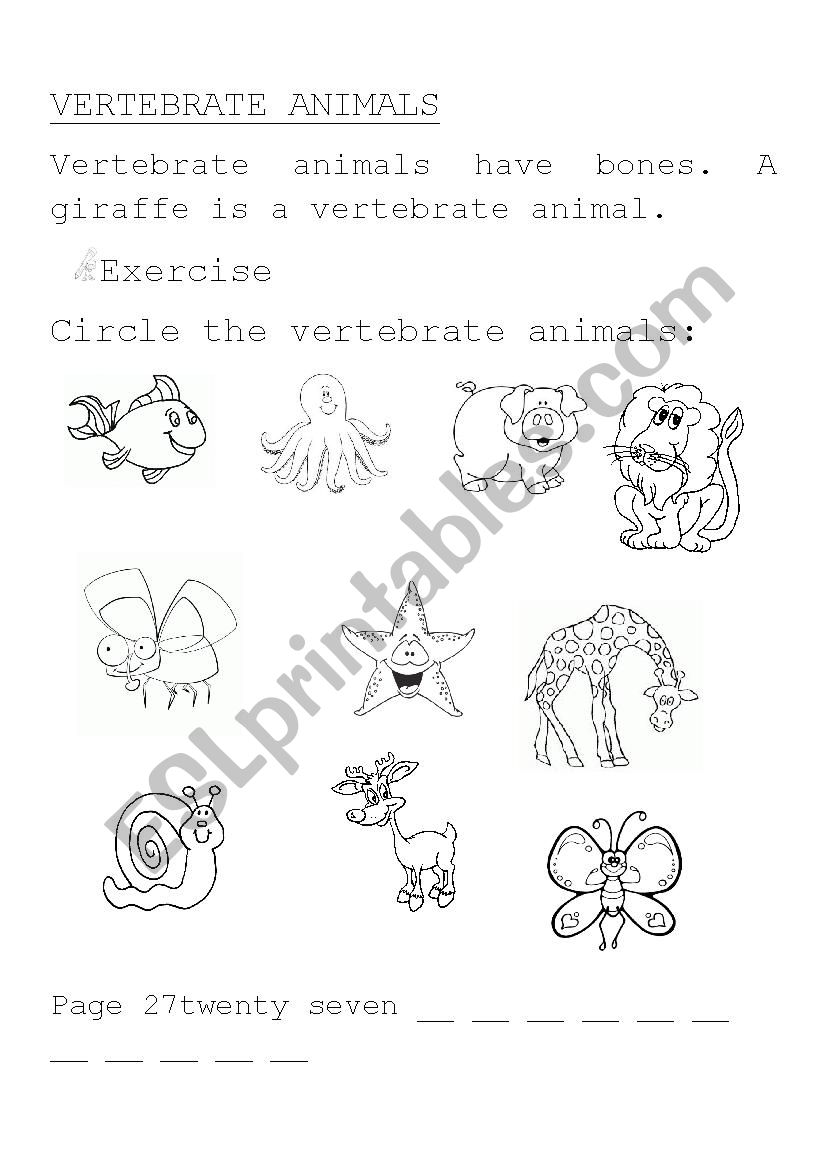 vertebrate animals worksheet