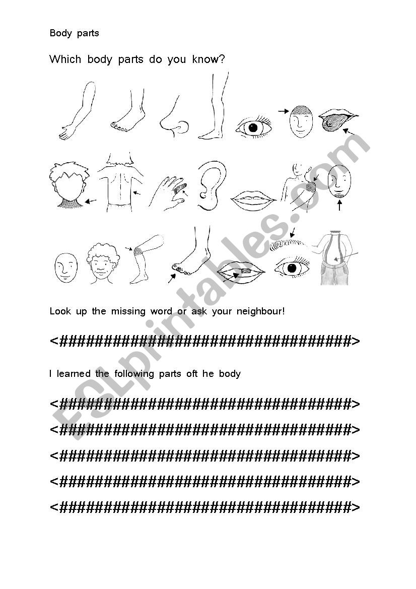 Body parts worksheet