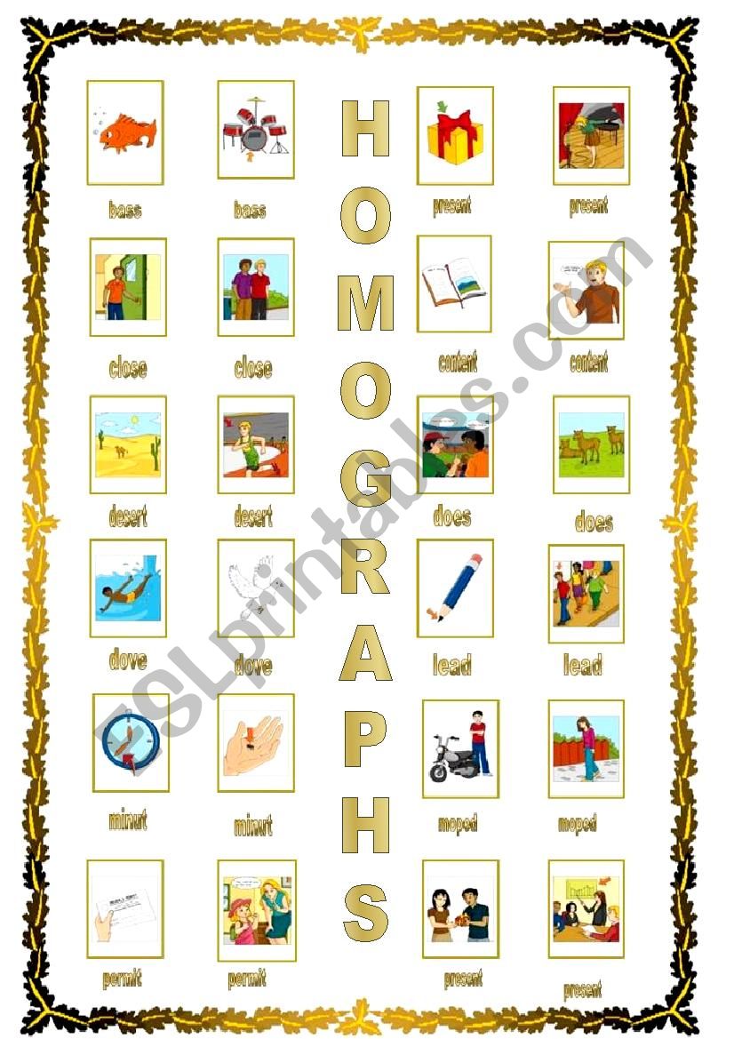 homographs worksheet
