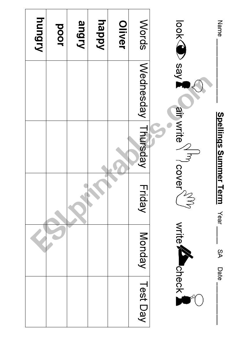 spelling worksheet worksheet