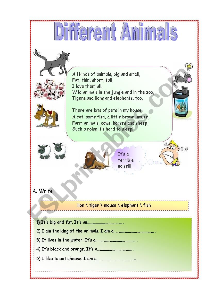Different Animals worksheet