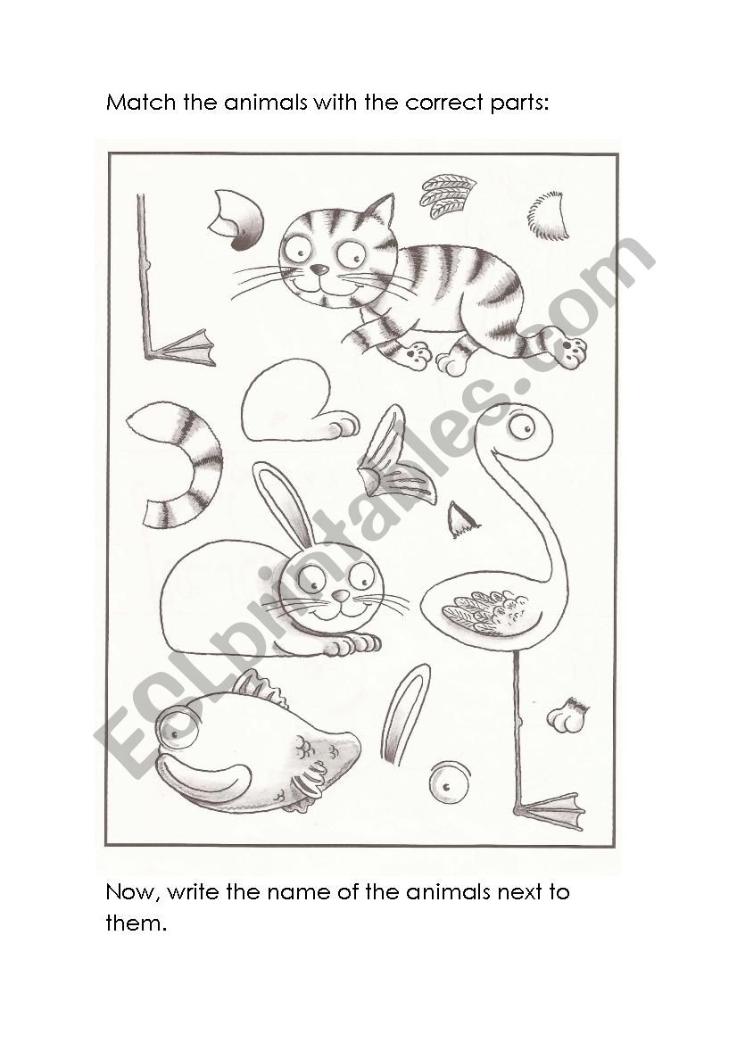 Animals parts worksheet