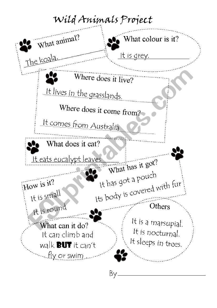 Wild Animals Project worksheet