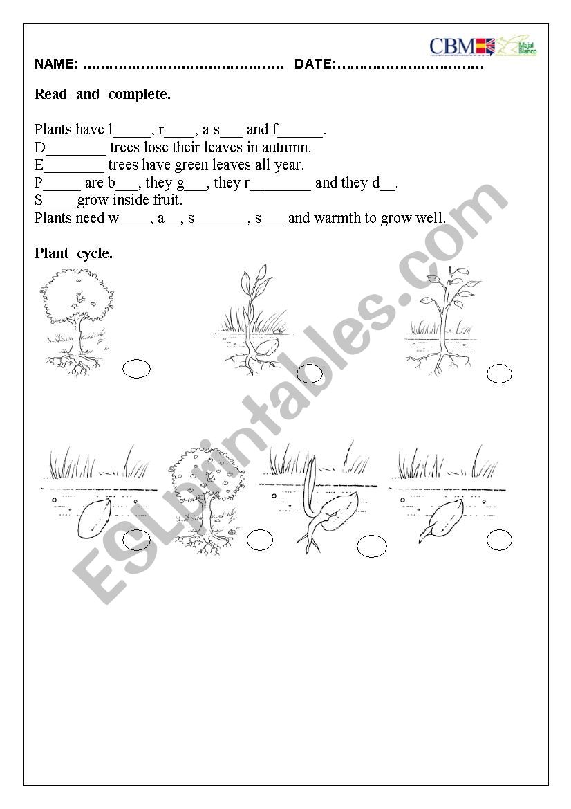 PLANTS LIFE worksheet