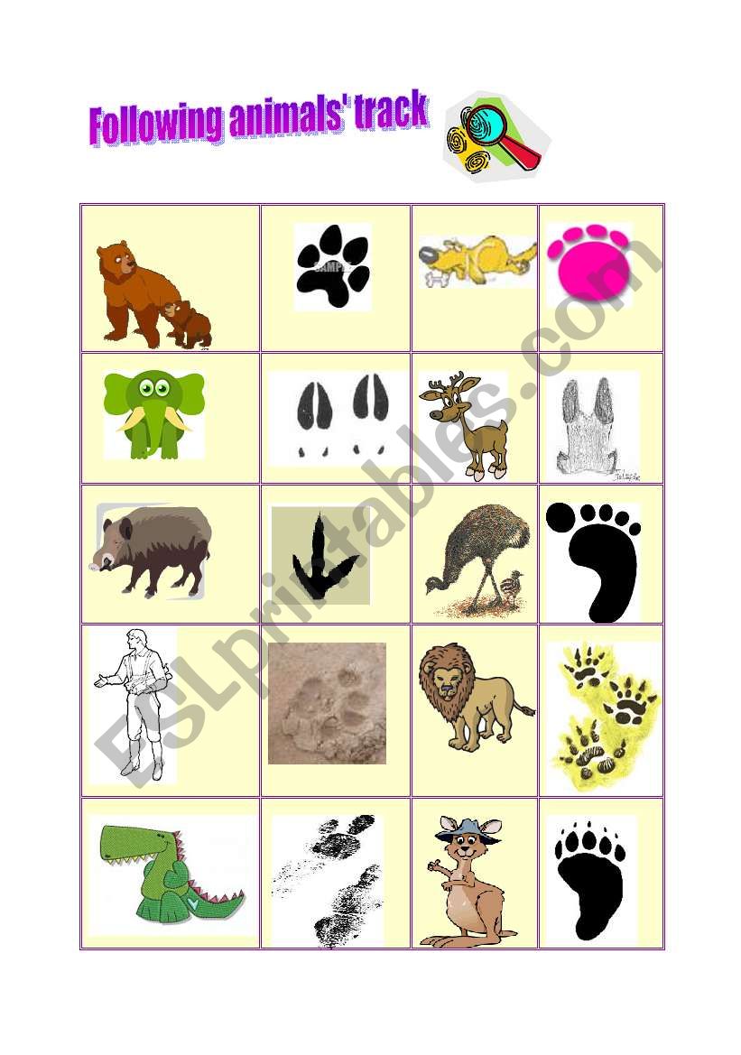 Following animals track worksheet