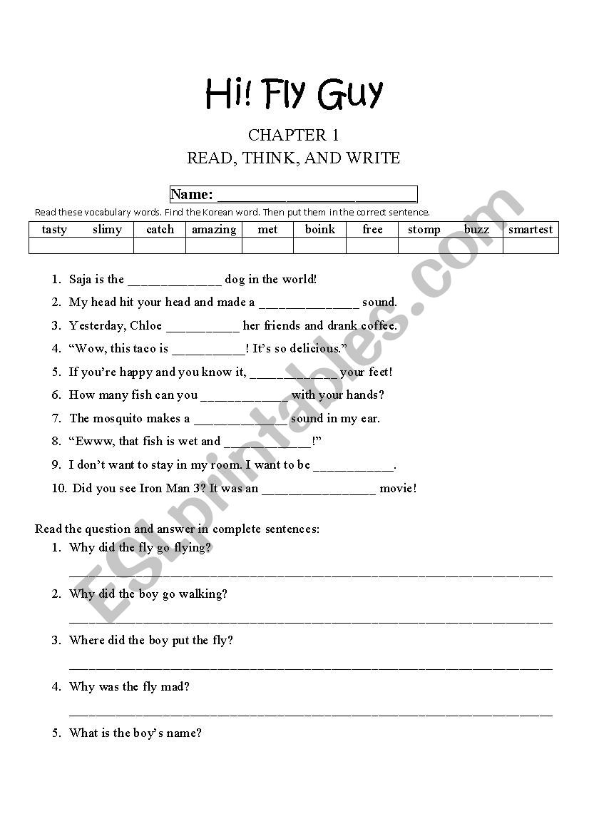 Hi Fly Guy Ch. 1 Worksheet worksheet