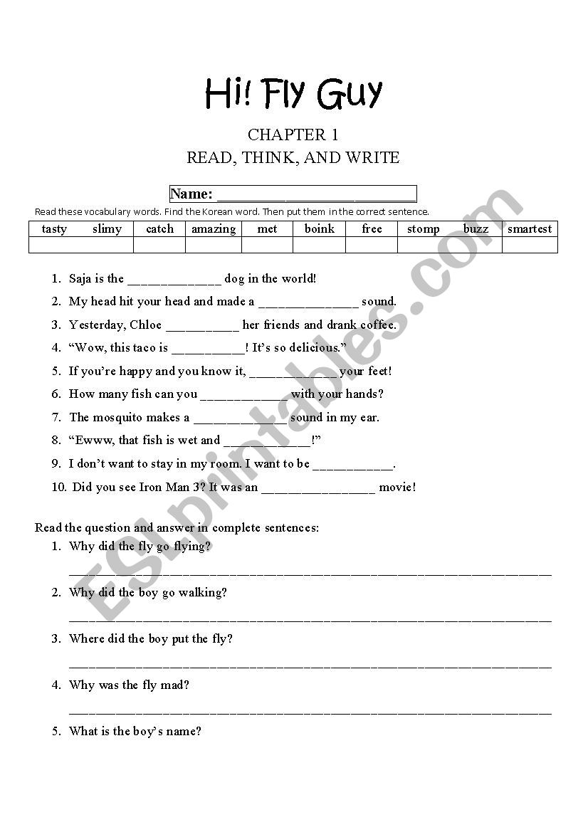 Hi Fly Guy Ch. 1 Worksheet worksheet