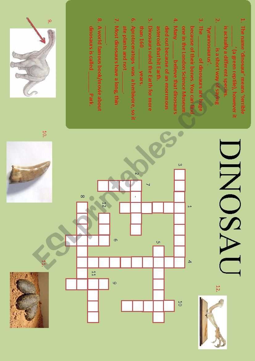 Dinosaur crossword worksheet