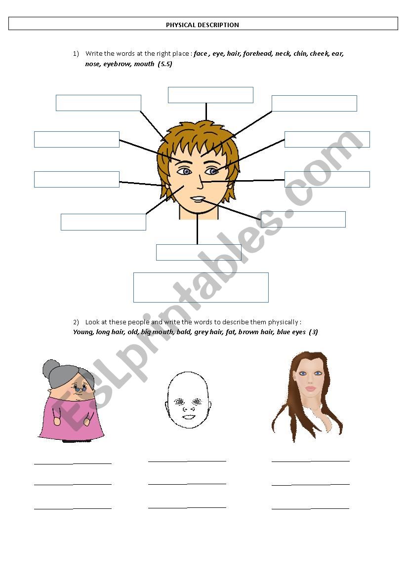 Physical description worksheet