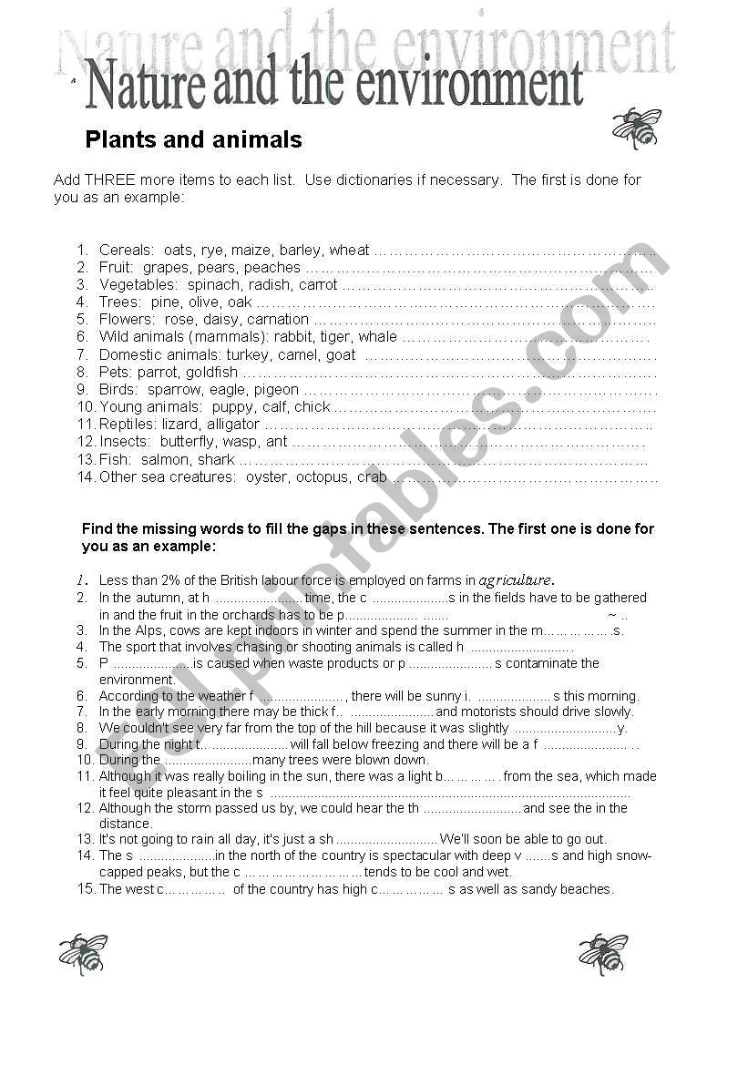 nature and environment worksheet