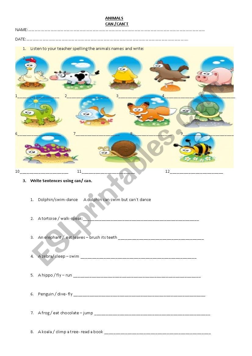ANIMALS + CAN worksheet