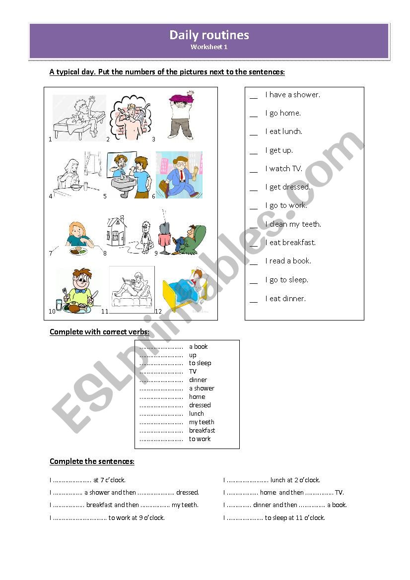 Daily routines  worksheet