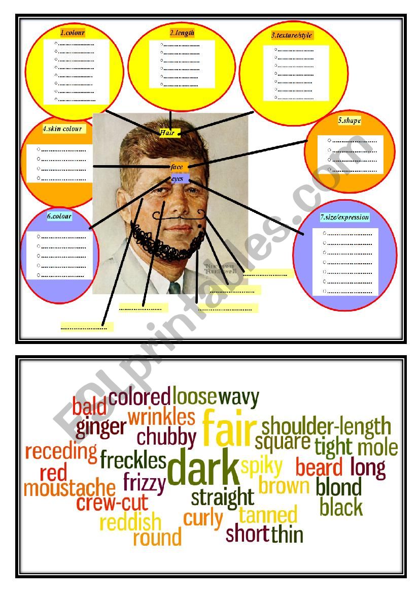 Face description vocabulary worksheet