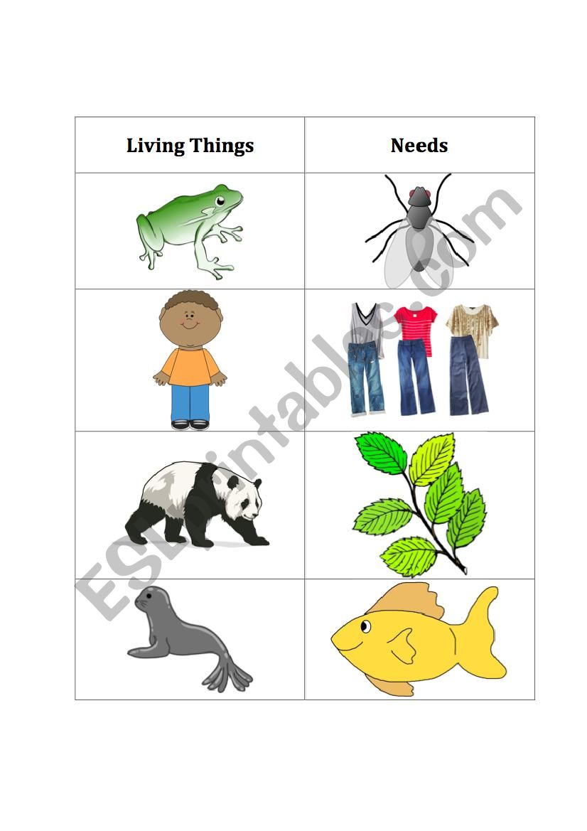 Living Things Chart
