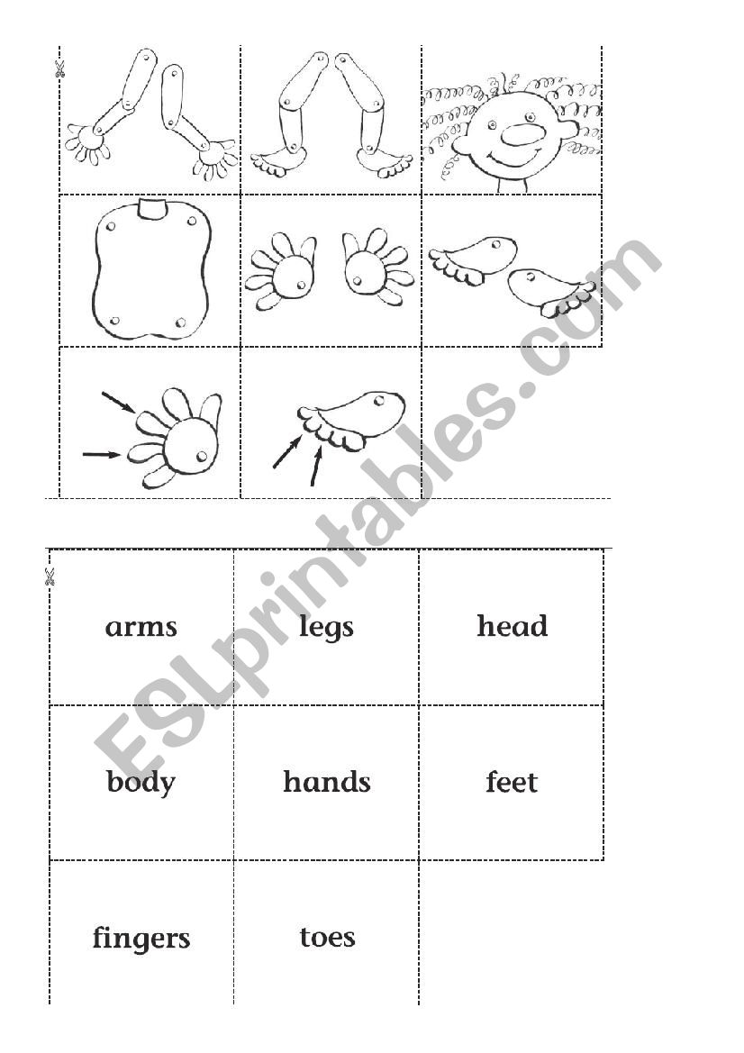 My body Cut & Paste worksheet