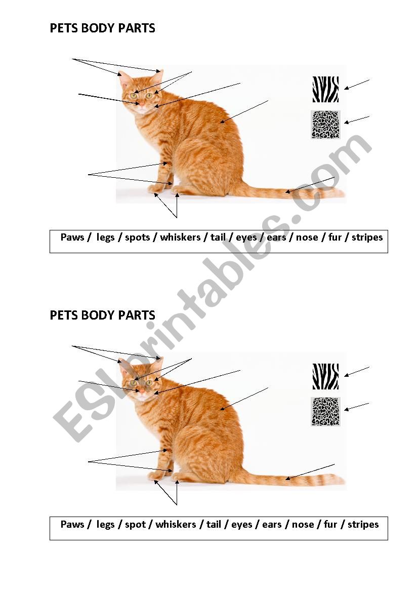 Pets body parts worksheet