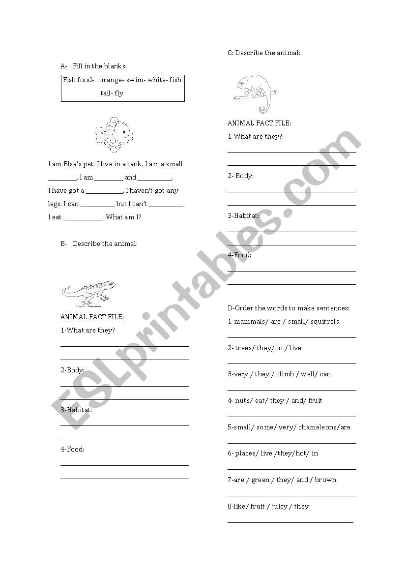 animal fact files  worksheet