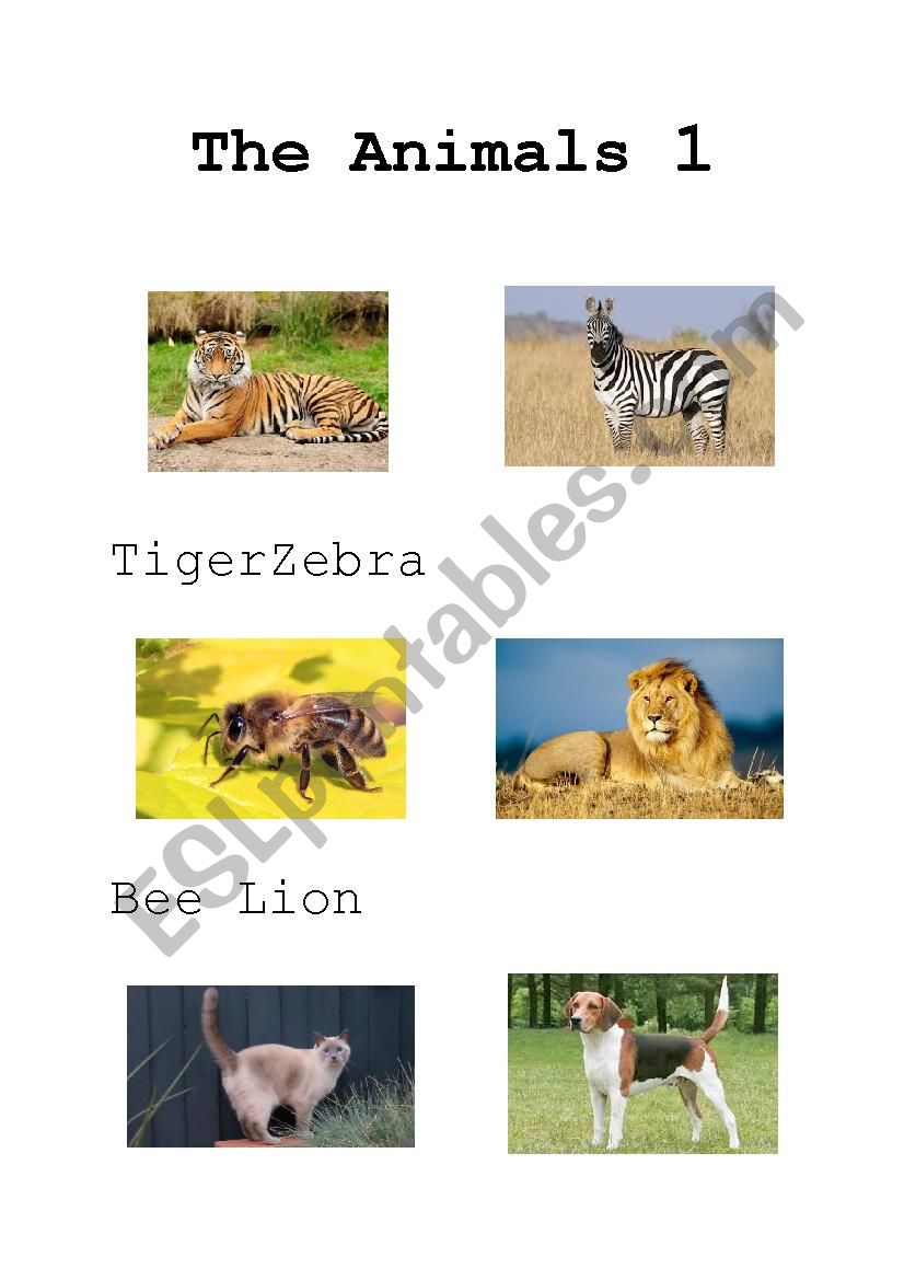 The animal 1 worksheet