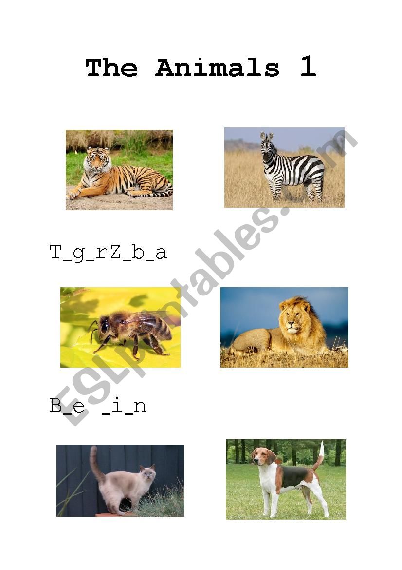 The animal worksheet 1 worksheet