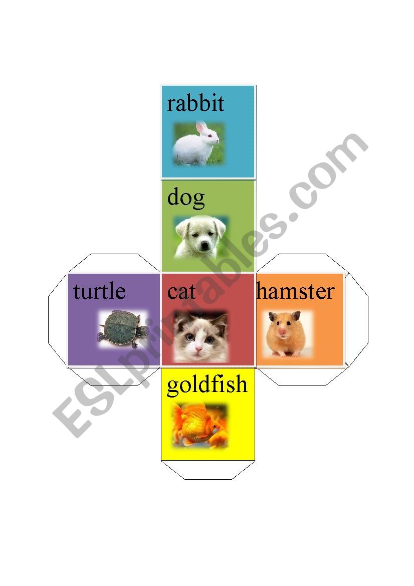 animal dice-rabbit dog cat goldfish turtle hamster