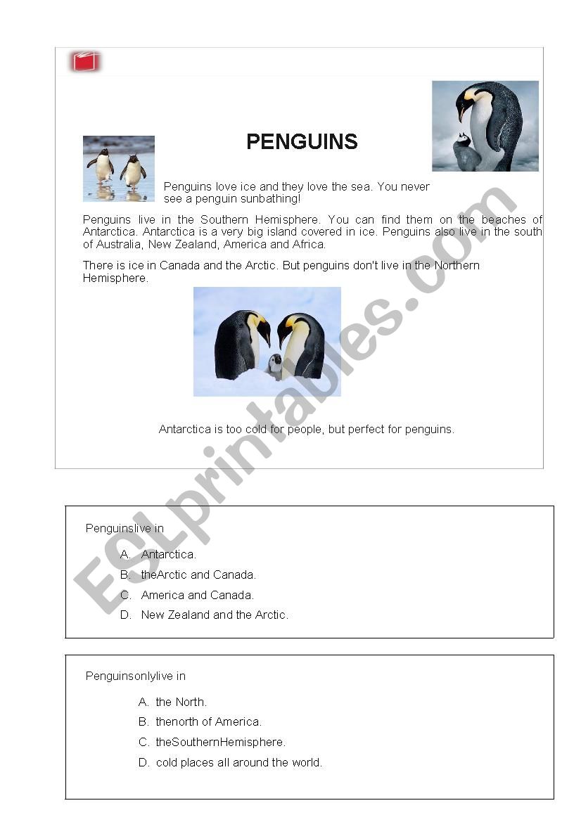 Penguins worksheet