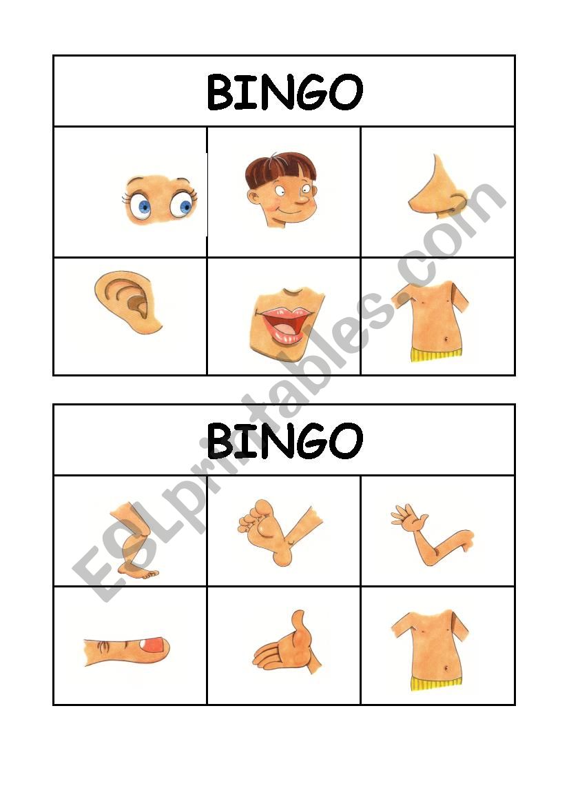 BODY BINGO worksheet