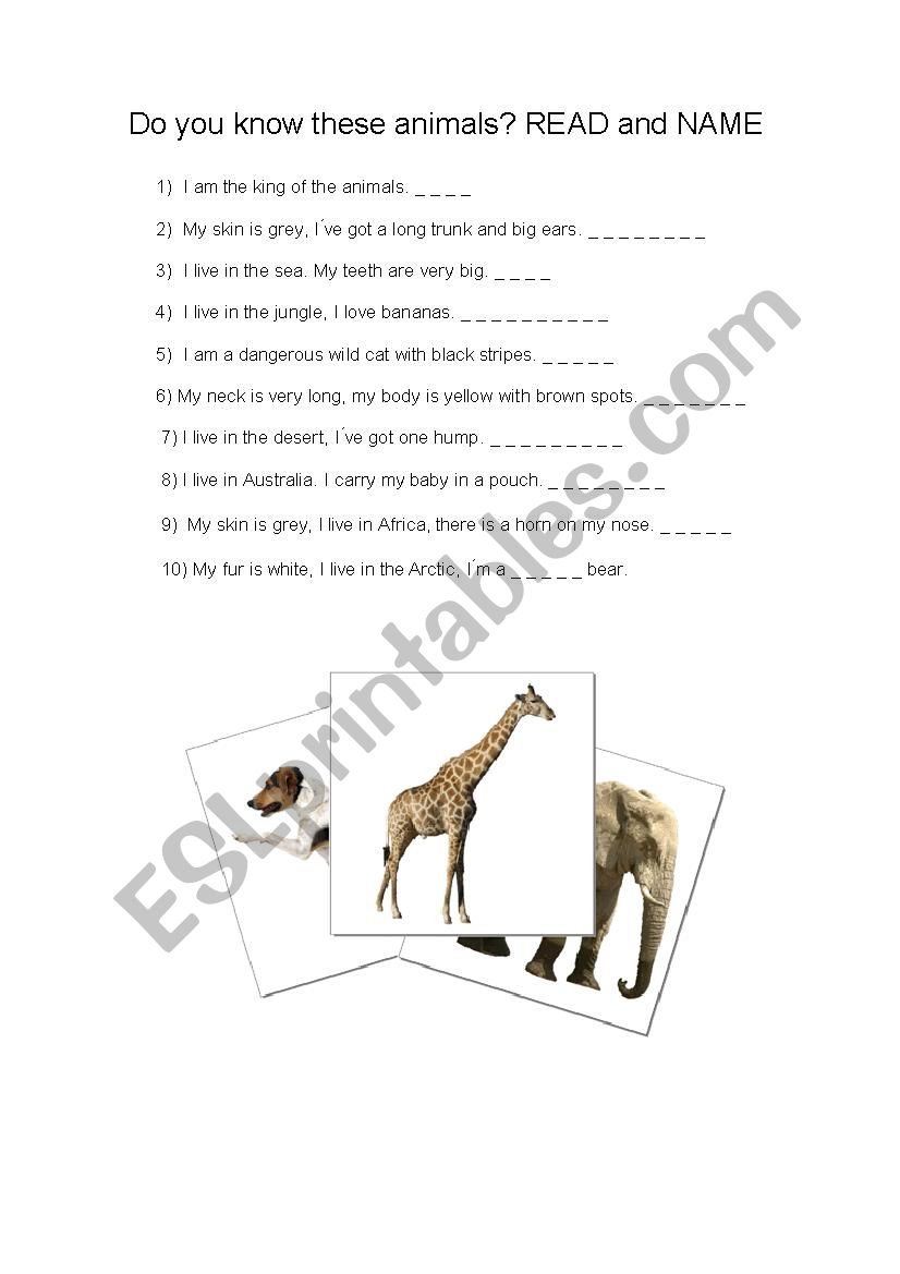 Guess the animal worksheet