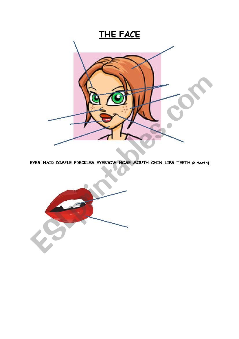 The Face worksheet